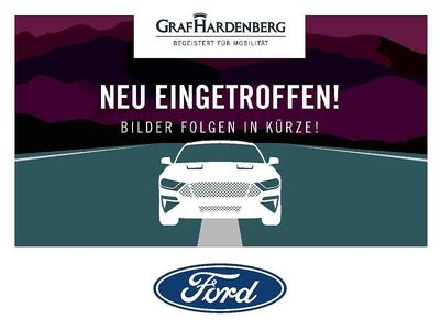 Gebraucht Ford Puma Titanium 125 PS (91 kW) 2020 Grau SUV