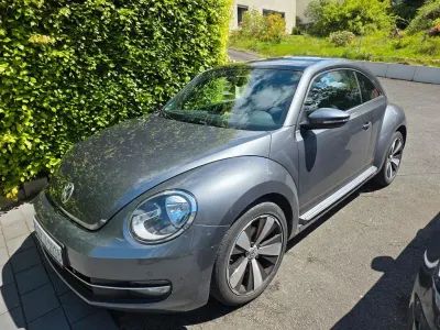 Gebraucht VW Beetle