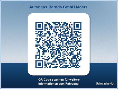 Grau Neu 2026 Renault Trafic Evolution Van / Kleinbus | 41.498 € (Teuer)