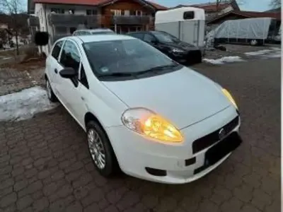 Usata Fiat Punto Evo Active 68 CV (50 kW) 2011 Bianco Utilitaria