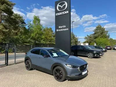 Gebraucht Mazda CX-30 Homura-Line 186 PS (136 kW) 2023 Grau SUV