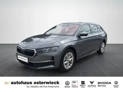 Gebraucht Skoda Octavia Selection 150 PS (110 kW) 2024 Grau Kombi