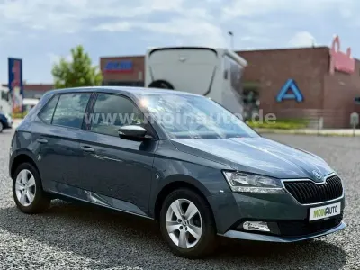 Gebraucht Skoda Fabia Style 95 PS (69 kW) 2020 Grau Kleinwagen