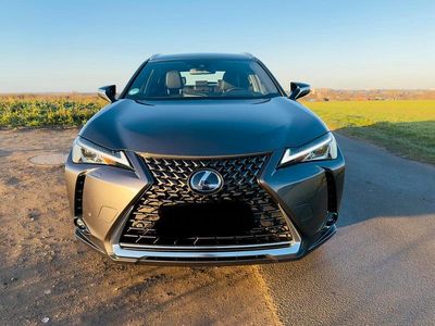 Brugt Lexus UX 300e Executive Line 150 kW (204 HK) 2021 Grå SUV
