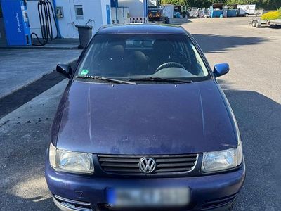 VW Polo