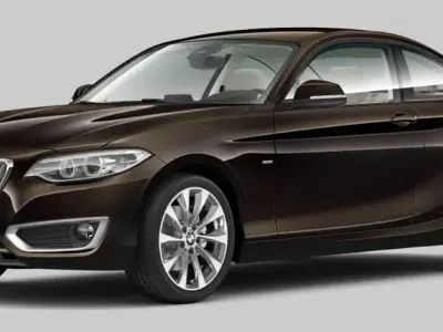 Brugt BMW 220 Sport Line 184 HK (135 kW) 2014 Brun Coupe