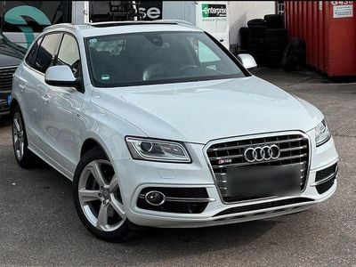Gebraucht Audi SQ5 Sport 313 PS (230 kW) 2014 Weiß SUV