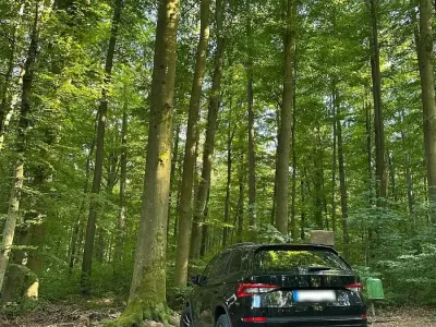Gebraucht Skoda Kodiaq SportLine 198 PS (145 kW) 2020 Schwarz SUV