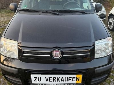 Gebraucht Fiat Panda Dynamic 69 PS (50 kW) 2010 Schwarz Kleinwagen