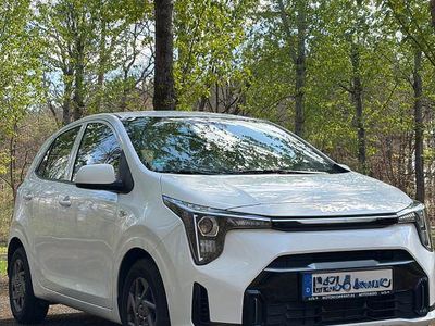 Second-hand Kia Picanto Vision 63 CP (46 kW) 2025 Alb Hatchback