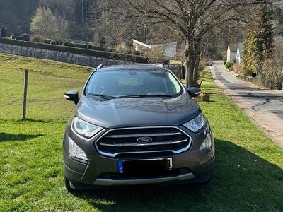 Gebraucht Ford Ecosport Titanium 125 PS (91 kW) 2019 Grau SUV