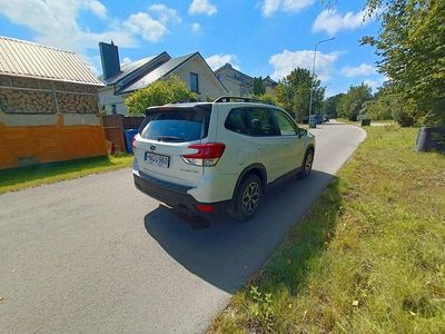 Usata Subaru Forester Premium 185 CV (136 kW) 2024 Bianco SUV