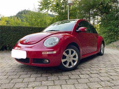 VW Beetle