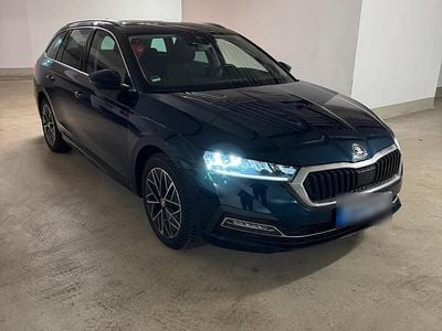 Gebraucht Skoda Octavia 150 PS (110 kW) 2023 Blau Kombi