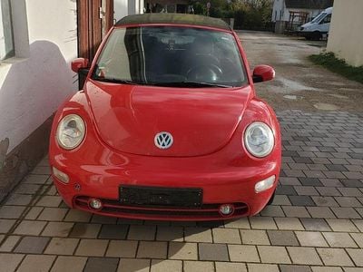 VW Beetle