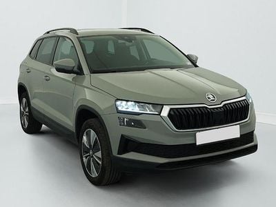 Usata Skoda Karoq Business Line 116 CV (85 kW) 2023 Grigio SUV