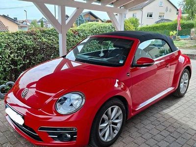 VW Beetle