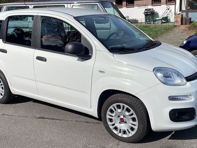 gebraucht Fiat Panda Easy Klima nur 17.600 KM