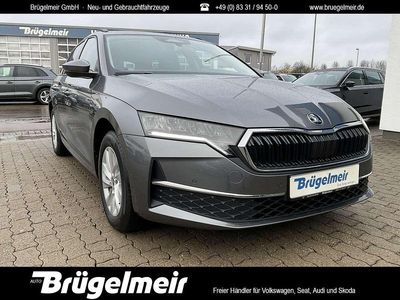 Graphitegrau Neu 2025 Skoda Octavia Selection Kombi | 34.990 € (Guter Preis)