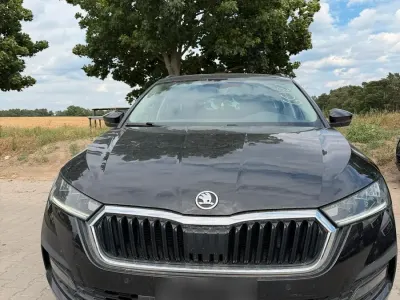 Gebraucht Skoda Octavia 150 PS (110 kW) 2020 Schwarz Kombi