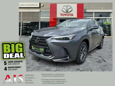 Gebraucht Lexus NX350h Executive Line 243 PS (178 kW) 2025 Sonic grey SUV