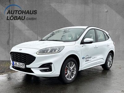 gebraucht Ford Kuga 2.5 Duratec PHEV ST-LINE X*LED*Winterpkt