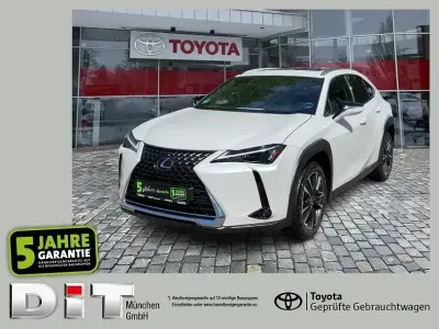 Gebraucht Lexus UX 250h Executive Line 184 PS (135 kW) 2023 Sonic white SUV