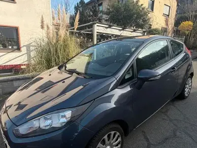 Gebraucht Ford Fiesta Trend 82 PS (60 kW) 2014 Grau Kleinwagen