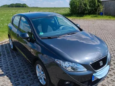 Gebraucht Seat Ibiza Sport 86 PS (63 kW) 2010 Grau Kleinwagen