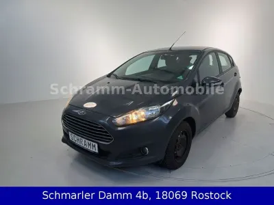 Gebraucht Ford Fiesta Trend 75 PS (55 kW) 2014 Grau Kleinwagen