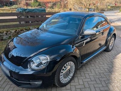 VW Beetle