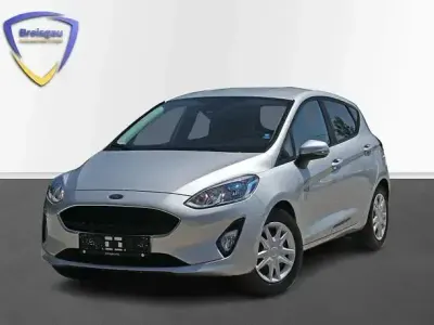 Gebraucht Ford Fiesta Cool & Connect 101 PS (74 kW) 2019 Silber Kleinwagen