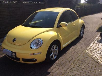 VW Beetle