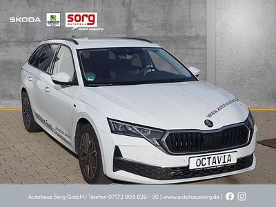 Gebraucht Skoda Octavia Tour 150 PS (110 kW) 2025 Weiß Kombi