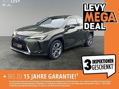 Lexus UX 300e