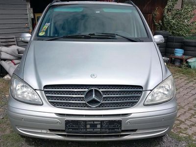 Mercedes Viano