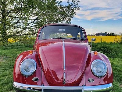 Gebraucht VW Käfer 34 PS (25 kW) 1964 Rot Kleinwagen