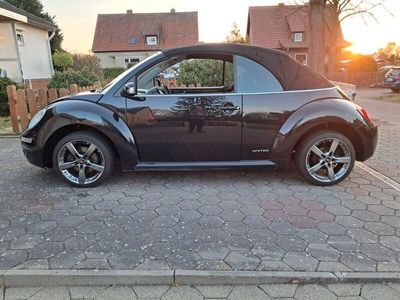 VW Beetle