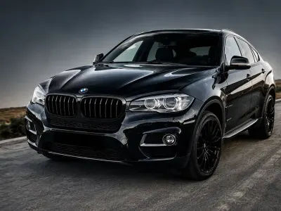 Brugt BMW X6 245 HK (180 kW) 2013 Sort SUV