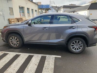 gebraucht Lexus NX300h 