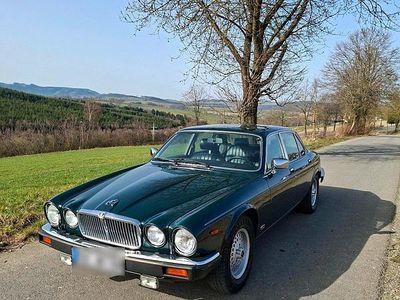 Usata Jaguar XJ12 264 CV (194 kW) 1992 Verde Berlina