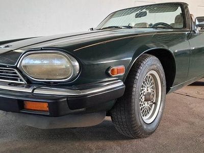 Grün Gebraucht 1988 Jaguar XJS Cabrio | 7.500 €