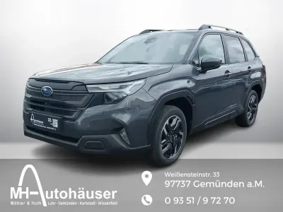 Gebraucht Subaru Forester