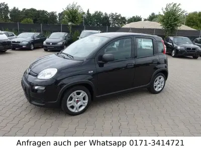 Gebraucht Fiat Panda