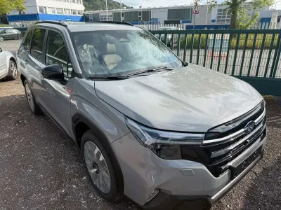 Gebraucht Subaru Forester