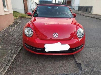 VW Beetle