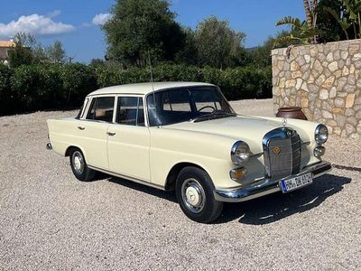 Gebraucht Mercedes 200 95 PS (69 kW) 1966 Beige Limousine