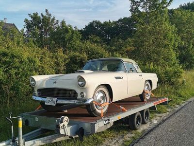 gebraucht Ford Thunderbird 1955 V8 Schalter