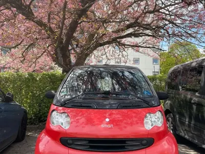 Brugt Smart ForTwo Cabrio 55 HK (40 kW) 2000 Rød Cabriolet