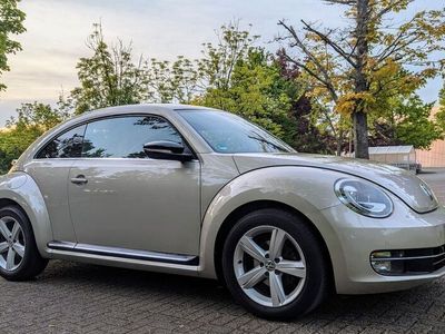 VW Beetle